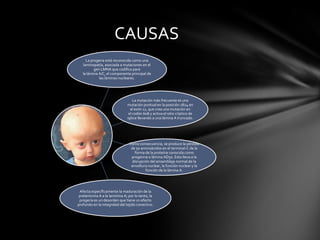 CAUSAS
     La progeria está reconocida como una
   laminopatía, asociada a mutaciones en el
          gen LMNA que codifica para
   la lámina A/C, el componente principal de
             las láminas nucleares.




                                   La mutación más frecuente es una
                               mutación puntual en la posición 1824 en
                                 el exón 11, que crea una mutación en
                                el codón 608 y activa el sitio críptico de
                               splice llevando a una lámina A truncada.




                                Como consecuencia, se produce la pérdida
                                 de 50 aminoácidos en el terminal-C de la
                                   forma de la proteína conocida como
                                 progerina o lámina AD50. Esto lleva a la
                                  disrupción del ensamblaje normal de la
                                 envoltura nuclear, la función nuclear y la
                                          función de la lámina A.




 Afecta específicamente la maduración de la
 prelaminina A a la laminina A; por lo tanto, la
 progeria es un desorden que tiene un efecto
profundo en la integridad del tejido conectivo.
 