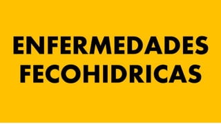 Enfermedades Fecohidricas o Entéricas -M.Y.M.F.
