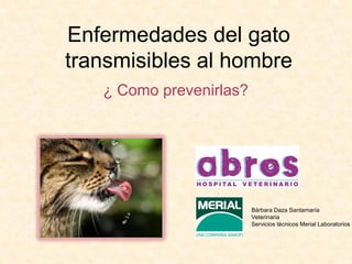 Enfermedades del gato
transmisibles al hombre
   ¿ Como prevenirlas?




                         Bárbara Daza Santamaría
                         Veterinaria
                         Servicios técnicos Merial Laboratorios
 