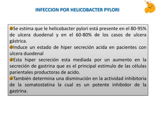 Se estima que le helicobacter pylori está presente en el 80-95%
de ulcera duodenal y en el 60-80% de los casos de ulcera
gástrica.
Induce un estado de hiper secreción acida en pacientes con
ulcera duodenal
Esta hiper secreción esta mediada por un aumento en la
secreción de gastrina que es el principal estimulo de las células
parientales productoras de acido.
También determina una disminución en la actividad inhibitoria
de la somatostatina la cual es un potente inhibidor de la
gastrina.
INFECCION POR HELICOBACTER PYLORI
 