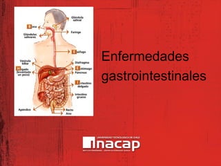 Enfermedades
gastrointestinales
 