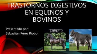 TRASTORNOS DIGESTIVOS
EN EQUINOS Y
BOVINOS
Presentado por:
Sebastián Pérez Riobo
 