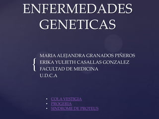 ENFERMEDADES
  GENETICAS

     MARIA ALEJANDRA GRANADOS PIÑEROS

 {   ERIKA YULIETH CASALLAS GONZALEZ
     FACULTAD DE MEDICINA
     U.D.C.A




       • COLA VESTIGIA
       • PROGERIA
       • SINDROME DE PROTEUS
 
