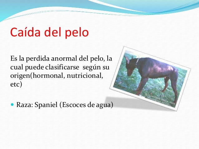 Como adelgazar fuerte durante el embarazo