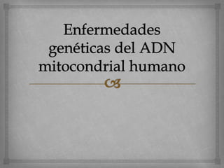 Enfermedades genéticas del ADN 
mitocondrial humano 
 
 Las enfermedades mitocondriales son un grupo de 
trastornos que ...