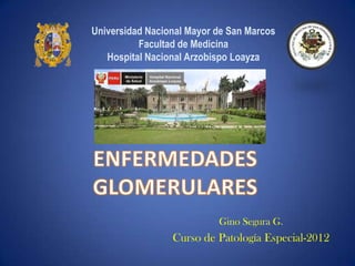 Universidad Nacional Mayor de San Marcos
          Facultad de Medicina
   Hospital Nacional Arzobispo Loayza




                           Gino Segura G.
                 Curso de Patología Especial-2012
 