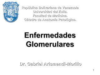 Enfermedades Glomerulares Dr. Gabriel Arismendi-Morillo República Bolivariana de Venezuela Universidad del Zulia. Facultad de Medicina. Cátedra de Anatomía Patológica. 