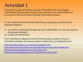 Actividad 1
Se formarán 5 grupos de trabajo y buscarán información sobre las principales
enfermedades de los gusanos de se...