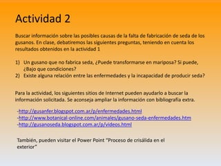 Actividad 2
Buscar información sobre las posibles causas de la falta de fabricación de seda de los
gusanos. En clase, deba...