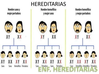 HEREDITARIAS
 