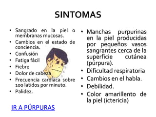 SINTOMAS
• Sangrado en la piel o
membranas mucosas.
• Cambios en el estado de
conciencia.
• Confusión
• Fatiga fácil
• Fiebre
• Dolor de cabeza
• Frecuencia cardíaca sobre
100 latidos por minuto.
• Palidez.
• Manchas purpurinas
en la piel producidas
por pequeños vasos
sangrantes cerca de la
superficie cutánea
(púrpura).
• Dificultad respiratoria
• Cambios en el habla.
• Debilidad.
• Color amarillento de
la piel (ictericia)
IR A PÚRPURAS
 