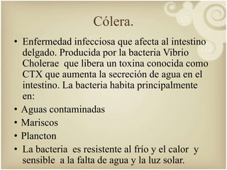 Cólera. 
• Enfermedad infecciosa que afecta al intestino 
delgado. Producida por la bacteria Vibrio 
Cholerae que libera un toxina conocida como 
CTX que aumenta la secreción de agua en el 
intestino. La bacteria habita principalmente 
en: 
• Aguas contaminadas 
• Mariscos 
• Plancton 
• La bacteria es resistente al frío y el calor y 
sensible a la falta de agua y la luz solar. 
 