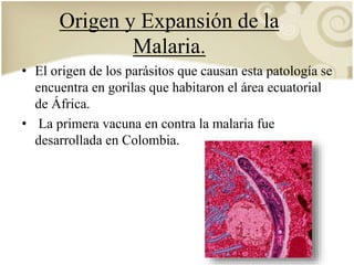 Origen y Expansión de la 
Malaria. 
• El origen de los parásitos que causan esta patología se 
encuentra en gorilas que habitaron el área ecuatorial 
de África. 
• La primera vacuna en contra la malaria fue 
desarrollada en Colombia. 
 