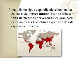 El paludismo sigue expandiéndose hoy en día 
en zonas del tercer mundo. Esto se debe a la 
falta de medidas preventivas, en gran parte, 
pero también a la continua expansión de ésta 
especia de insectos. 
 