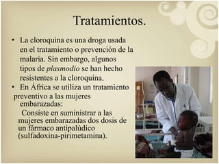 Tratamientos. 
• La cloroquina es una droga usada 
en el tratamiento o prevención de la 
malaria. Sin embargo, algunos 
tipos de plasmodio se han hecho 
resistentes a la cloroquina. 
• En África se utiliza un tratamiento 
preventivo a las mujeres 
embarazadas: 
Consiste en suministrar a las 
mujeres embarazadas dos dosis de 
un fármaco antipalúdico 
(sulfadoxina-pirimetamina). 
 