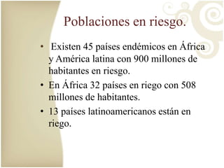 Poblaciones en riesgo. 
• Existen 45 países endémicos en África 
y América latina con 900 millones de 
habitantes en riesgo. 
• En África 32 países en riego con 508 
millones de habitantes. 
• 13 países latinoamericanos están en 
riego. 
 