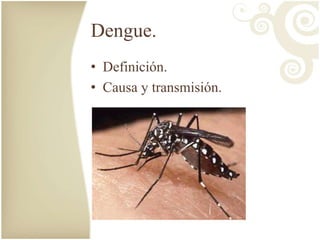 Dengue. 
• Definición. 
• Causa y transmisión. 
 