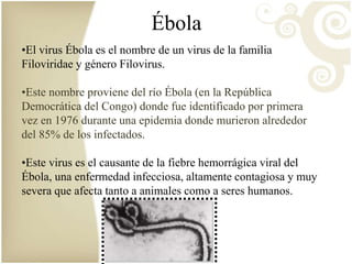 Ébola 
•El virus Ébola es el nombre de un virus de la familia 
Filoviridae y género Filovirus. 
•Este nombre proviene del río Ébola (en la República 
Democrática del Congo) donde fue identificado por primera 
vez en 1976 durante una epidemia donde murieron alrededor 
del 85% de los infectados. 
•Este virus es el causante de la fiebre hemorrágica viral del 
Ébola, una enfermedad infecciosa, altamente contagiosa y muy 
severa que afecta tanto a animales como a seres humanos. 
 