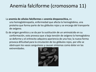 Anemia falciforme (cromosoma 11)La anemia de células falciformes o anemia drepanocítica, es una hemoglobinopatía, enfermedad que afecta la hemoglobina, una proteína que forma parte de los glóbulos rojos y se encarga del transporte de oxígeno.Es de origen genético y se da por la sustitución de un aminoácido en su conformación, esto provoca que a baja tensión de oxígeno la hemoglobina se deforme y el eritrocito adquiera apariencia de una hoz; la nueva forma provoca dificultad para la circulación de los glóbulos rojos, por ello se obstruyen los vasos sanguíneos y causan síntomas como dolor en las extremidades.  