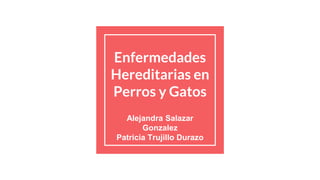 Enfermedades
Hereditarias en
Perros y Gatos
Alejandra Salazar
Gonzalez
Patricia Trujillo Durazo
 