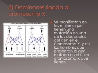  Se manifiestan en
las mujeres que
tienen una
mutación en una
de las dos copias
del gen en el
cromosoma X, y en
los hombres que
presentan el gen
mutado en el único
cromosoma X que
tienen.
 
