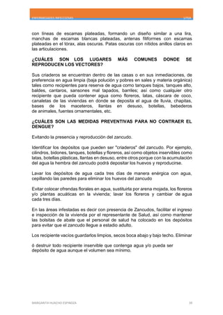 ENFERMEDADES INFECCIOSAS UTEA
MARGARITA HUACHO ESPINOZA 39
con líneas de escamas plateadas, formando un diseño similar a una lira,
manchas de escamas blancas plateadas, antenas filiformes con escamas
plateadas en el tórax, alas oscuras. Patas oscuras con nítidos anillos claros en
las articulaciones.
¿CUÁLES SON LOS LUGARES MÁS COMUNES DONDE SE
REPRODUCEN LOS VECTORES?
Sus criaderos se encuentran dentro de las casas o en sus inmediaciones, de
preferencia en agua limpia (baja polución y pobres en sales y materia orgánica)
tales como recipientes para reserva de agua como tanques bajos, tanques alto,
baldes, cantaros, sansones mal tapados, barriles; así como cualquier otro
recipiente que pueda contener agua como floreros, latas, cáscara de coco,
canaletas de las viviendas en donde se deposita el agua de lluvia, chapitas,
bases de los maceteros, llantas en desuso, botellas, bebederos
de animales, fuentes ornamentales, etc.
¿CUÁLES SON LAS MEDIDAS PREVENTIVAS PARA NO CONTRAER EL
DENGUE?
Evitando la presencia y reproducción del zancudo.
Identificar los depósitos que pueden ser "criaderos" del zancudo. Por ejemplo,
cilindros, bidones, tanques, botellas y floreros, así como objetos inservibles como
latas, botellas plásticas, llantas en desuso, entre otros porque con la acumulación
del agua la hembra del zancudo podrá depositar los huevos y reproducirse.
Lavar los depósitos de agua cada tres días de manera enérgica con agua,
cepillando las paredes para eliminar los huevos del zancudo
Evitar colocar ofrendas florales en agua, sustituirla por arena mojada, los floreros
y/o plantas acuáticas en la vivienda; lavar los floreros y cambiar de agua
cada tres días.
En las áreas infestadas es decir con presencia de Zancudos, facilitar el ingreso
e inspección de la vivienda por el representante de Salud, así como mantener
las bolsitas de abate que el personal de salud ha colocado en los depósitos
para evitar que el zancudo llegue a estadio adulto.
Los recipiente vacíos guardarlos limpios, secos boca abajo y bajo techo. Eliminar
ó destruir todo recipiente inservible que contenga agua y/o pueda ser
depósito de agua aunque el volumen sea mínimo.
 