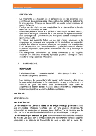 ENFERMEDADES INFECCIOSAS UTEA
MARGARITA HUACHO ESPINOZA 44
PREVENCIÓN
• Es importante la educación en el conocimiento de los síntomas, que
permitiría un diagnóstico precoz y la posibilidad de aplicar un tratamiento
lo antes posible. El riesgo de transmisión se puede reducir mediante el
control del vector
• Fumigación de interiores con insecticidas de acción residual a fin de
controlar los mosquitos vectores
• Protección personal frente a la picadura: vestir ropas de color blanco,
que cubran la mayor superficie de la piel; utilizar un repelente cutáneo
(que contenga DEET); dormir con una mosquitera tratada con repelentes
(permetrinas), etc.
• El viajero que presente fiebre en los tres meses siguientes a la
exposición se considera una urgencia por la posibilidad de presentar
malaria. Los viajeros presentan síntomas más graves que la población
local, ya que estos han desarrollado cierto grado de inmunidad al estar
expuestos al parásito, que ayuda a controlar la infección y disminuye la
gravedad
• Los inmigrantes procedentes de zonas endémicas y los viajeros
deberían ser cribados mediante rigurosas pruebas serológicas para
detectar a tiempo posibles infecciones
5. BARTONELOSIS
DEFINICION:
La bartonelosis es una enfermedad infecciosa producida por
la bacteria del género Bartonella.
Las especies del géneroBartonella causan enfermedades tales como
la enfermedad de Carrión, la fiebre de las trincheras y la enfermedad por
arañazo de gato, así como otras enfermedades tales como la
angiomatosis bacilar, peliosis hepatis, bacteriemia crónica, endocarditis,
linfadenopatía crónica y enfermedades neurológicas.
ETIOLOGIA:
géneroBartonella
EPIDEMIOLOGIA:
La enfermedad de Carrión o fiebre de la oroya o verruga peruana es una
rara enfermedad infecciosa reportada sólo en Perú, Ecuador y Colombia.9 la
enfermedad es endémica en algunas áreas de Perú,10 y es causada por la
infección de la bacteria Bartonella bacilliformis y transmitida por Lutzomyia.
La enfermedad por arañazo de gato es una enfermedad extendida alrededor
del mundo. Los gatos son el principal reservorio de Bartonella henselae (agente
etiológico) y la bacteria es transmitida de gato a gato por la pulga del
 