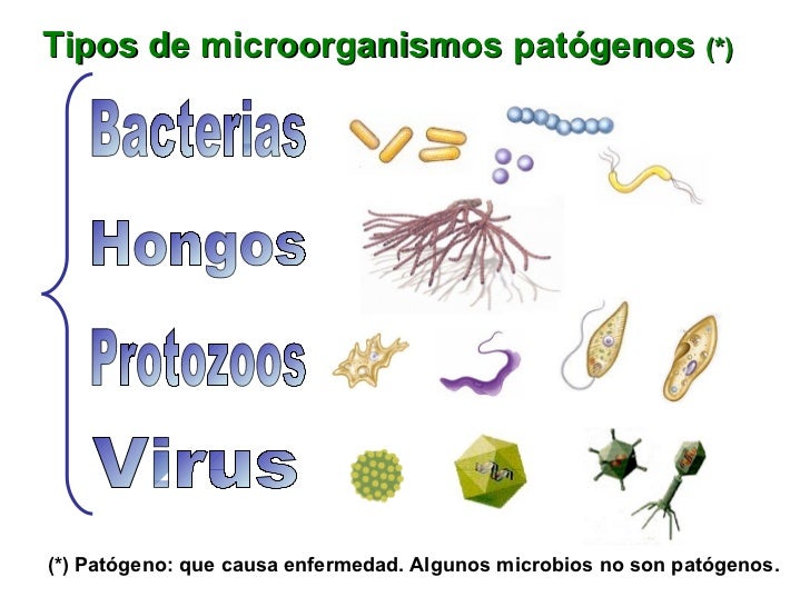 Imagen relacionada