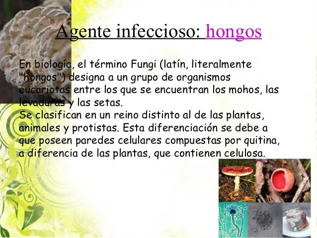 Los parásitos los síntomas a los niños