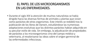 EL PAPEL DE LOS MICROORGANISMOS 
EN LAS ENFERMEDADES. 
• Durante el siglo XIX la atención de muchos naturalistas se había 
dirigido hacia las diversas formas de animales y plantas que vivían 
como parásitos de otros organismos. Este interés se redobló tras la 
publicación de los libros de Darwin, estudiándose las numerosas 
adaptaciones evolutivas que los distintos parásitos habían adquirido en 
su peculiar estilo de vida. Sin embargo, la adjudicación de propiedades 
de parásitos a los microorganismos vino del campo médico y 
veterinario, al revalorizarse las ideas sobre el origen germinal de 
las enfermedades infecciosas. 
 
