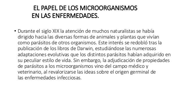 Las lombrices en el tiempo menstruatsionnogo del ciclo