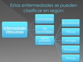 Estas enfermedades se pueden clasificar en según: