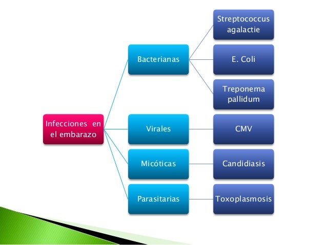 Streptococcus
agalactie

Bacterianas

E. Coli

Treponema
pallidum
Infecciones en
el embarazo

Virales

CMV

Micóticas

Can...