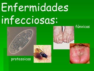 Enfermidades  infecciosas: protozoicas fúnxicas 