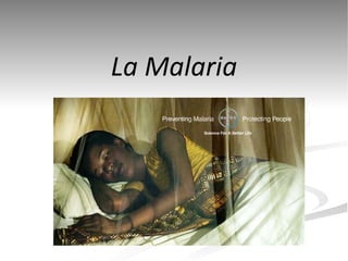 La Malaria 