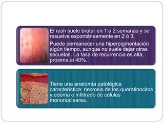 El rash suele brotar en 1 a 2 semanas y se
resuelve espontáneamente en 2 ó 3.
Puede permanecer una hiperpigmentación
algún tiempo, aunque no suele dejar otras
secuelas. La tasa de recurrencia es alta,
próxima al 40%.
Tiene una anatomía patológica
característica: necrosis de los queratinocitos
y edema e infiltrado de células
mononucleares.
 