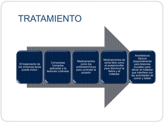 TRATAMIENTO
El tratamiento de
los síntomas leves
puede incluir:
Compresas
húmedas
aplicadas a la
lesiones cutáneas
Medicamentos
como los
antihistamínicos
para controlar la
picazón
Medicamentos de
venta libre como
el acetaminofén
para disminuir la
fiebre y el
malestar
Anestésicos
tópicos
(especialmente
para lesiones
bucales) para
aliviar el malestar
que interfiere con
las actividades de
comer y beber
 