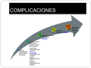 Daño y
cicatrización
permanente
de la piel
Ocasionalmente
lesiones en
órganos internos
que producen:
•neumonitis
(inflamación del
pulmón)
•miocarditis
(inflamación del
corazón)
•nefritis
(inflamación del
riñón)
•hepatitis
(inflamación del
hígado)
Infección cutánea
secundaria
(celulitis)
Infección
sistémica, sepsis
Pérdida de
líquidos
corporales,
shock
 