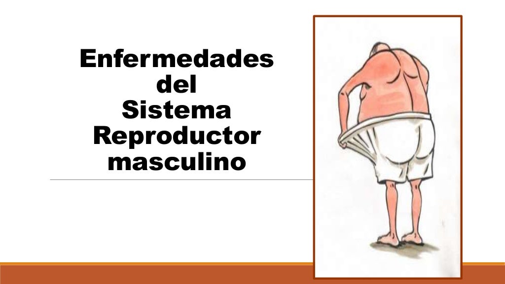 Enfermedades del aparato reproductor masculino