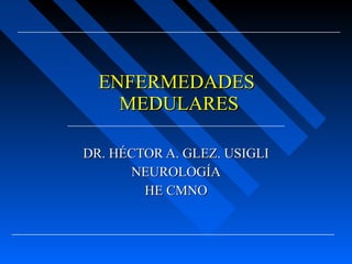ENFERMEDADES  MEDULARES DR. HÉCTOR A. GLEZ. USIGLI NEUROLOGÍA HE CMNO 