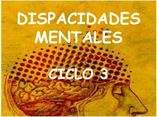 DISPACIDADES
  MENTALES

   CICLO 3
 