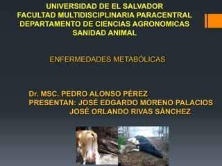 UNIVERSIDAD DE EL SALVADOR
FACULTAD MULTIDISCIPLINARIA PARACENTRAL
DEPARTAMENTO DE CIENCIAS AGRONOMICAS
SANIDAD ANIMAL

ENFERMEDADES METABÓLICAS

Dr. MSC. PEDRO ALONSO PÉREZ
PRESENTAN: JOSÉ EDGARDO MORENO PALACIOS
JOSÉ ORLANDO RIVAS SÁNCHEZ

 