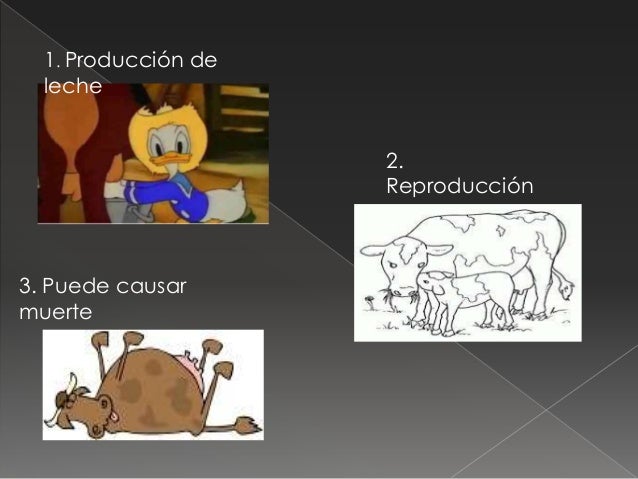 Enfermedades metabolicas Enfermedades metabolicas