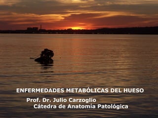 ENFERMEDADES 
METABÓLICAS DEL HUESO 
ENFERMEDADES METABÓLICAS DEL HUESO 
Prof. Dr. Julio Carzoglio 
Cátedra de Anatomía Patológica 
 