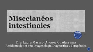 Dra. Laura Marysol Alvarez Guadarrama
Residente de 1er año Imagenología Diagnóstica y Terapéutica
 