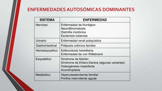 ENFERMEDADES AUTOSÓMICAS DOMINANTES
SISTEMA

ENFERMEDAD

Nervioso

Enfermedad de Huntigton
Neurofibromatosis
Distrofia miotónica
Esclerosis tuberosa

Urinario

Enfermedad renal poliquística

Gastrointestinal

Poliposis colónica familiar

Hematopoyético

Esferocitosis hereditaria
Enfermedad de von Willebrand

Esquelético

Síndrome de Marfan
Síndrome de Ehlers-Danlos (algunas variantes)
Osteogénesis imperfecta
Acondroplasia

Metabólico

Hipercolesterolemia familiar
Porfiria intermitente aguda

 