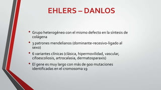 EHLERS – DANLOS
• Grupo heterogéneo con el mismo defecto en la síntesis de
colágena

• 3 patrones mendelianos (dominante-recesivo-ligado al
sexo)

• 6 variantes clínicas (clásica, hipermovilidad, vascular,
cifoescoliosis, artrocalasia, dermatosparaxis)

• El gene es muy largo con más de 900 mutaciones
identificadas en el cromosoma 19

 