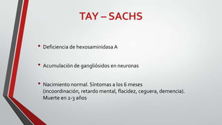 TAY – SACHS
• Deficiencia de hexosaminidasa A
• Acumulación de gangliósidos en neuronas
• Nacimiento normal. Síntomas a los 6 meses
(incoordinación, retardo mental, flacidez, ceguera, demencia).
Muerte en 2-3 años

 