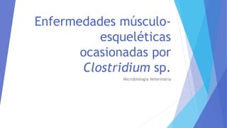 Enfermedades músculo-
esqueléticas
ocasionadas por
Clostridium sp.
Microbiología Veterinaria
 