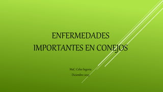 ENFERMEDADES
IMPORTANTES EN CONEJOS
MsC: Celso Segovia
Diciembre 2023
 